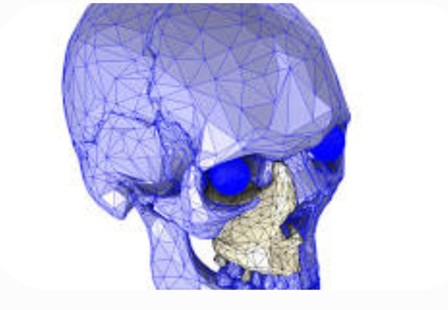 How do you repair scanned models?