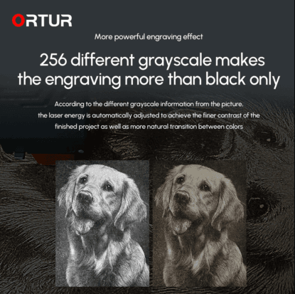Ortur laser engraver 256 grayscale engraving detail South Africa