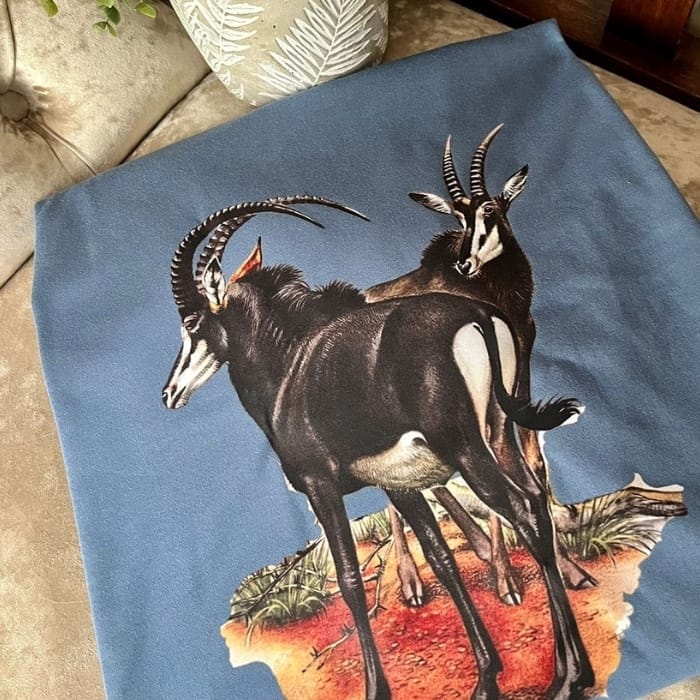 FUNSUN A3 Size DTF Printer with Oven