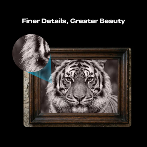 Creality CR Laser Falcon T1 Diode 20 Watt Laser Engraver
